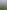 114071