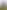113218