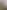 櫻花恰恰好