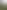 陞霖執美